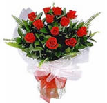 12 Red Dutch Roses