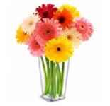 10 Multi-colored Gerberas in a Vase