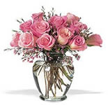12 Pink Roses in a Glass Vase