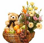 Fit Well Healthy Basket