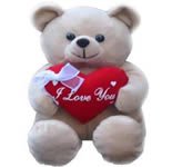 Teddy-with heart