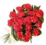 24 Red Carnations