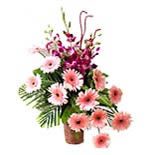 Gerberas & Orchid