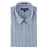 Park Avenue Striped Shirt