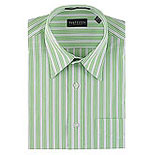 Van Heusen Bright Striped Shirt