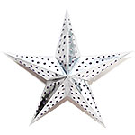 Silver Star 