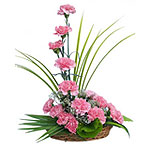 Pink Carnation Basket