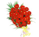 25 Red Gerberas Bunch