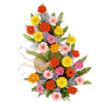 25 Multicolour Gerberas Basket