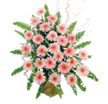 25 Peach Gerbera Basket